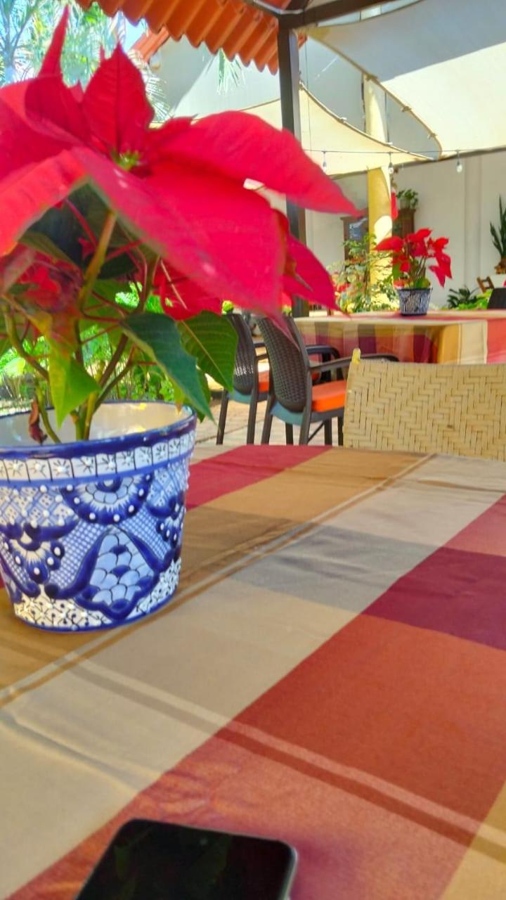 Bed and Breakfast Quinta Rosita Ticul Esterno foto