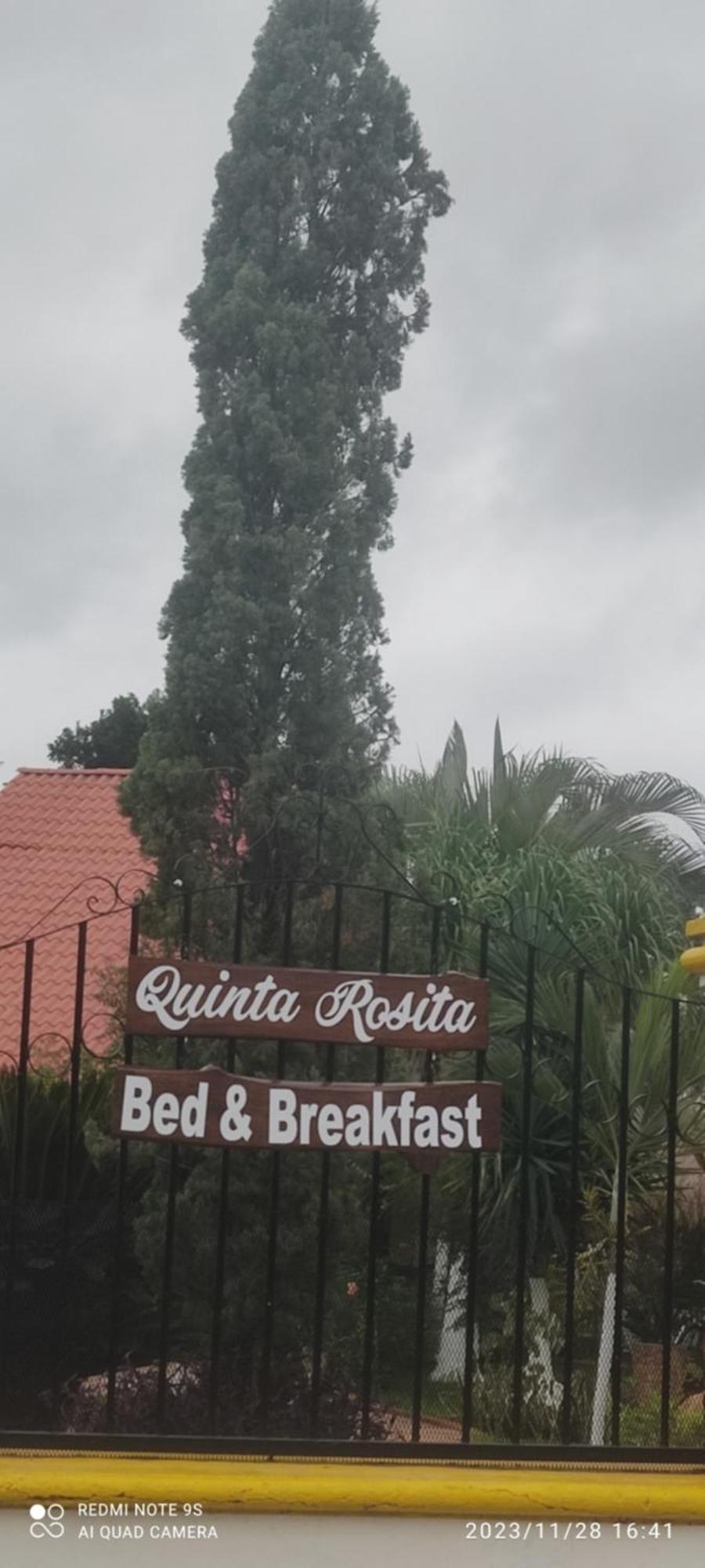 Bed and Breakfast Quinta Rosita Ticul Esterno foto