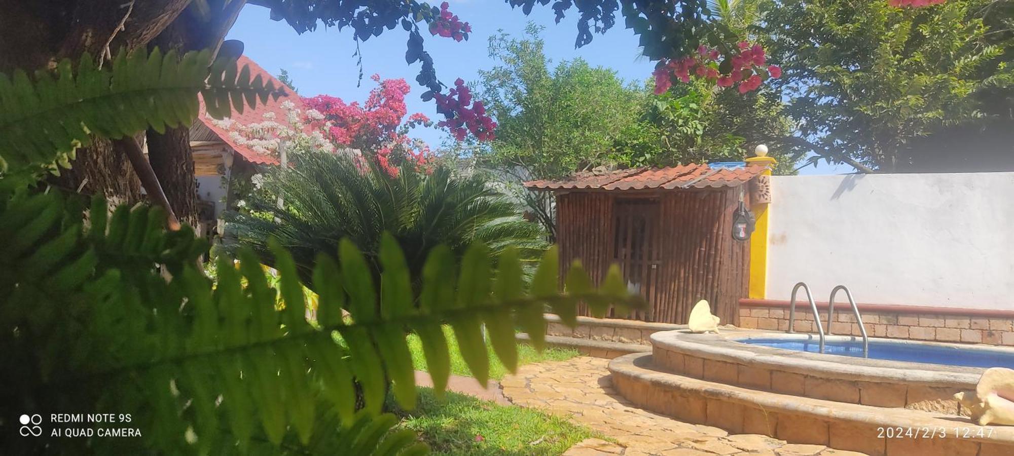 Bed and Breakfast Quinta Rosita Ticul Esterno foto