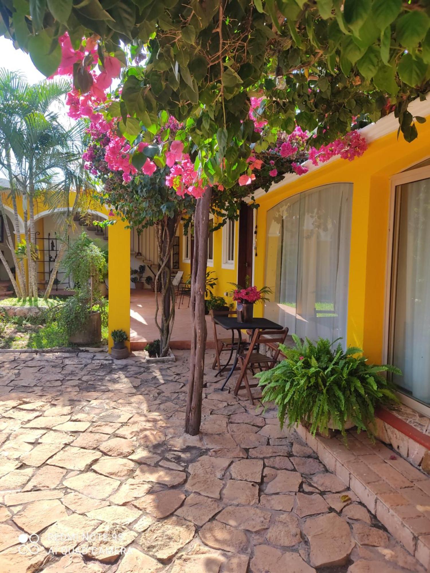 Bed and Breakfast Quinta Rosita Ticul Esterno foto