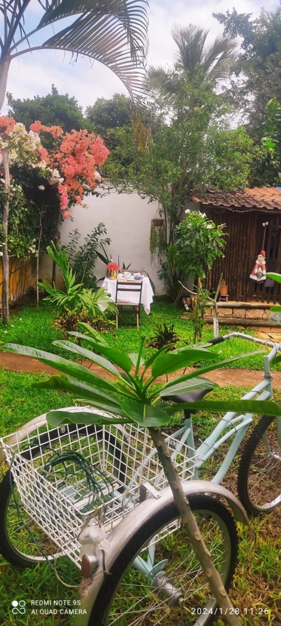 Bed and Breakfast Quinta Rosita Ticul Esterno foto