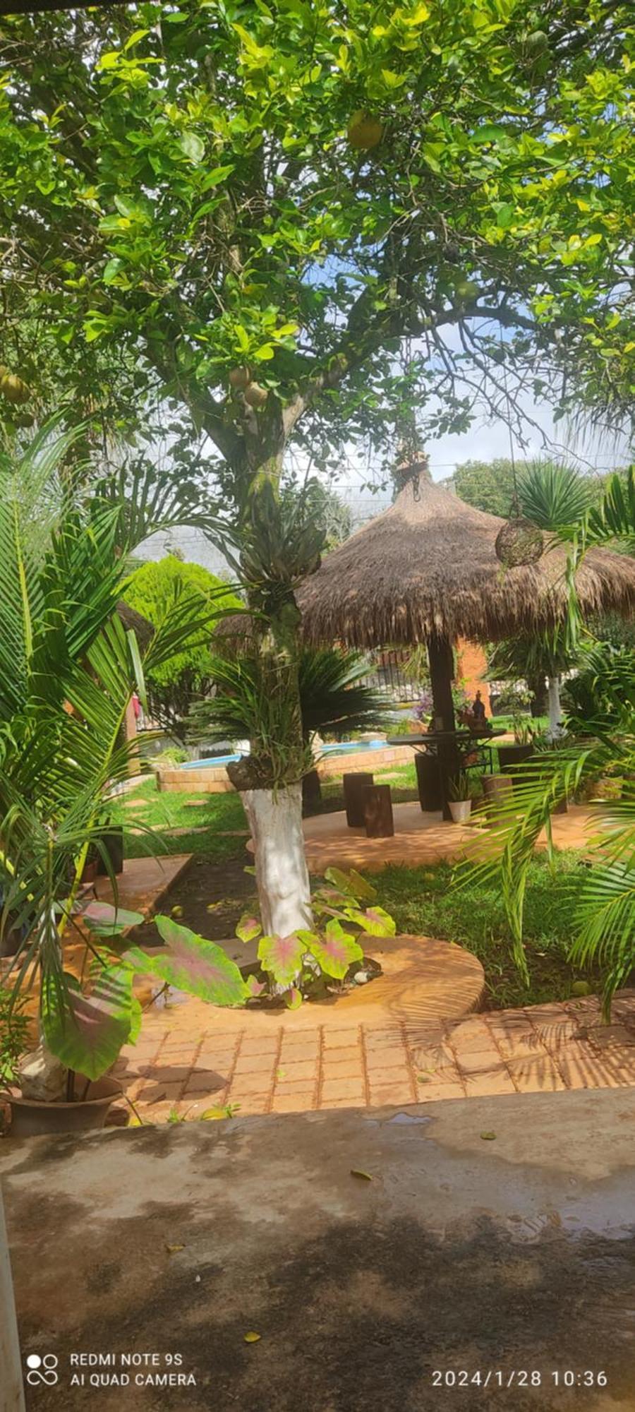 Bed and Breakfast Quinta Rosita Ticul Esterno foto