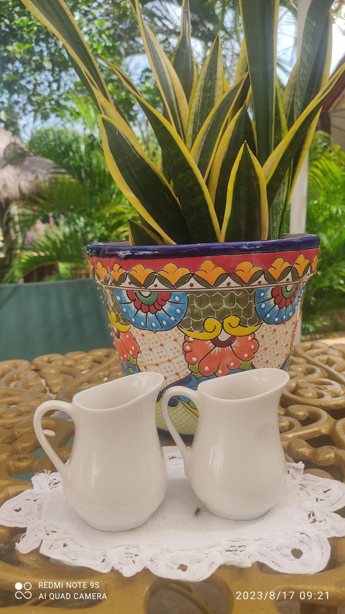 Bed and Breakfast Quinta Rosita Ticul Esterno foto