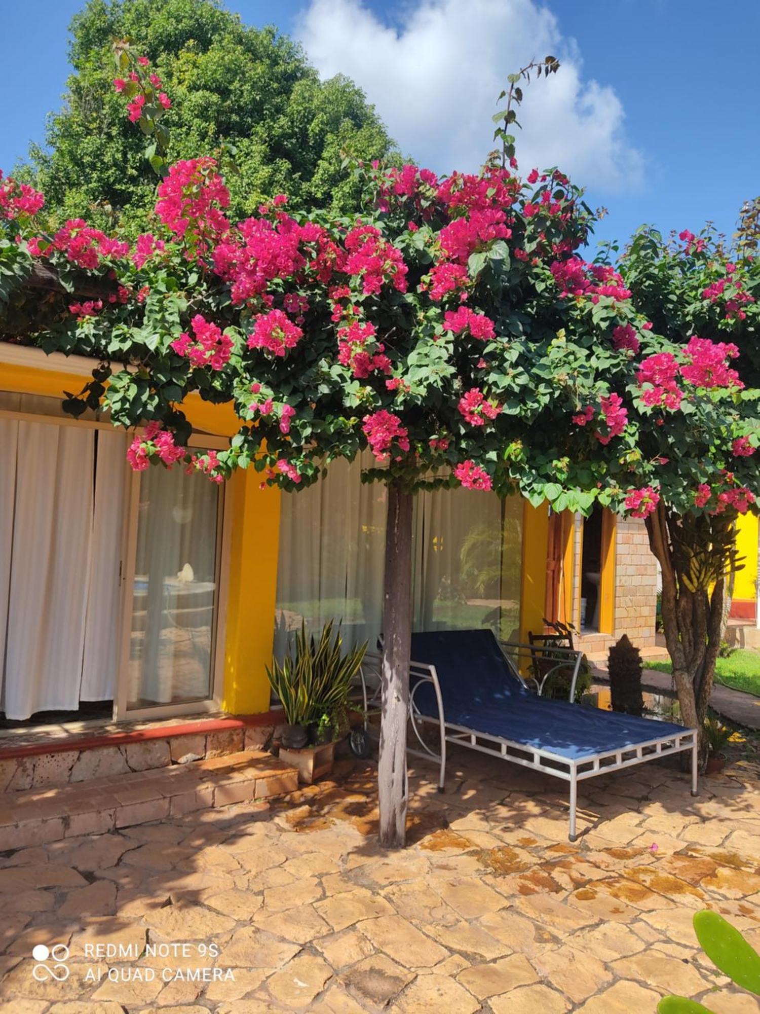 Bed and Breakfast Quinta Rosita Ticul Esterno foto