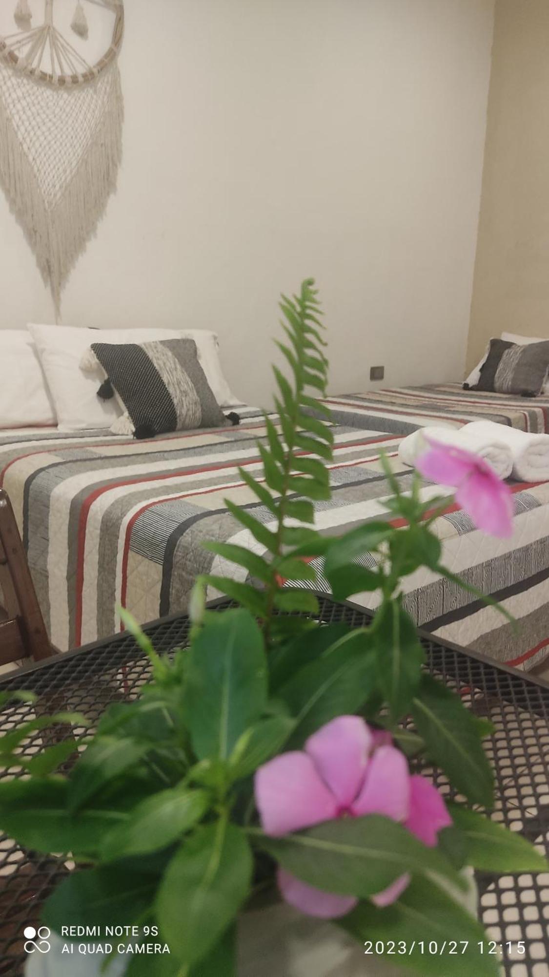 Bed and Breakfast Quinta Rosita Ticul Esterno foto
