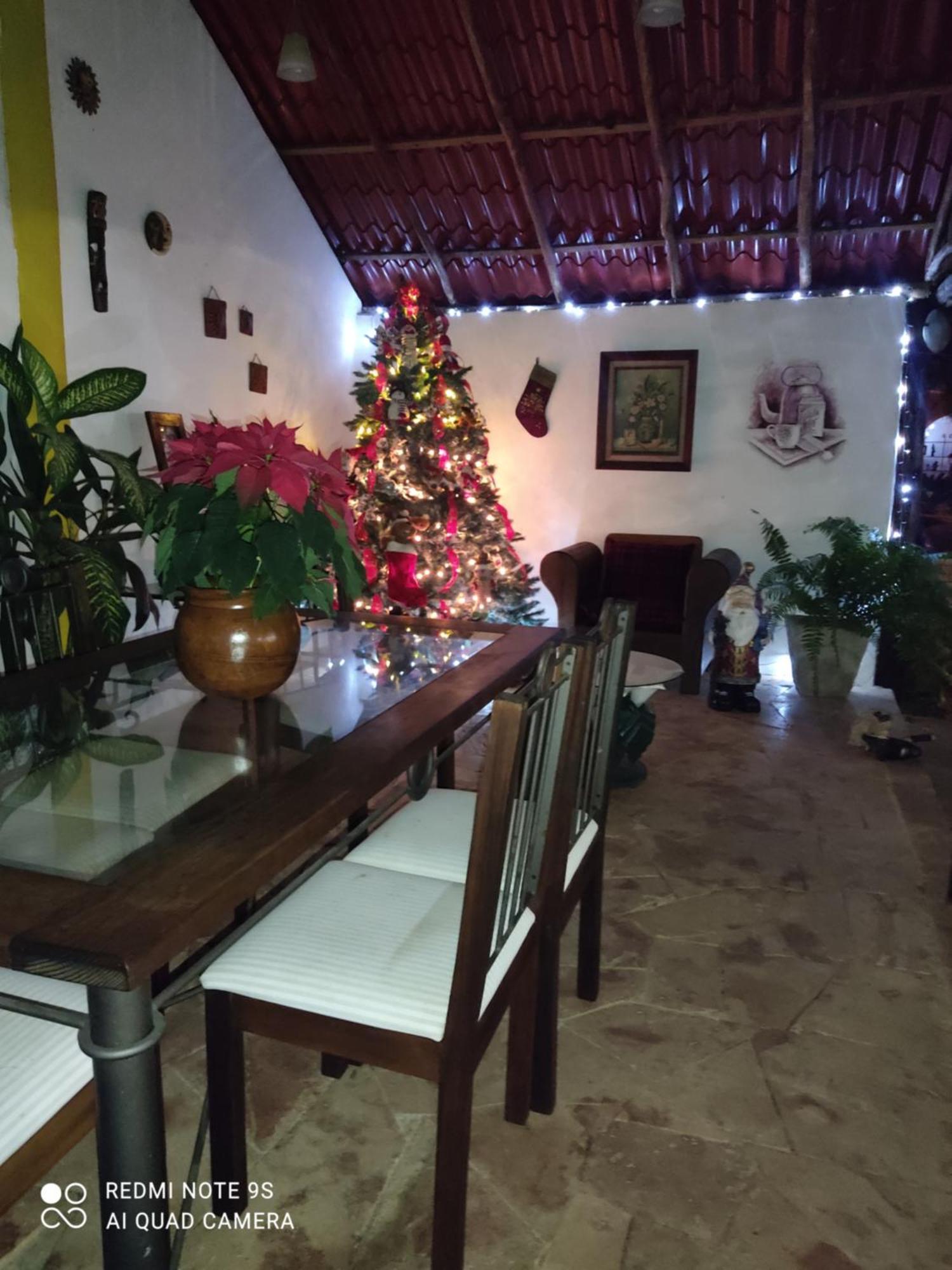 Bed and Breakfast Quinta Rosita Ticul Esterno foto