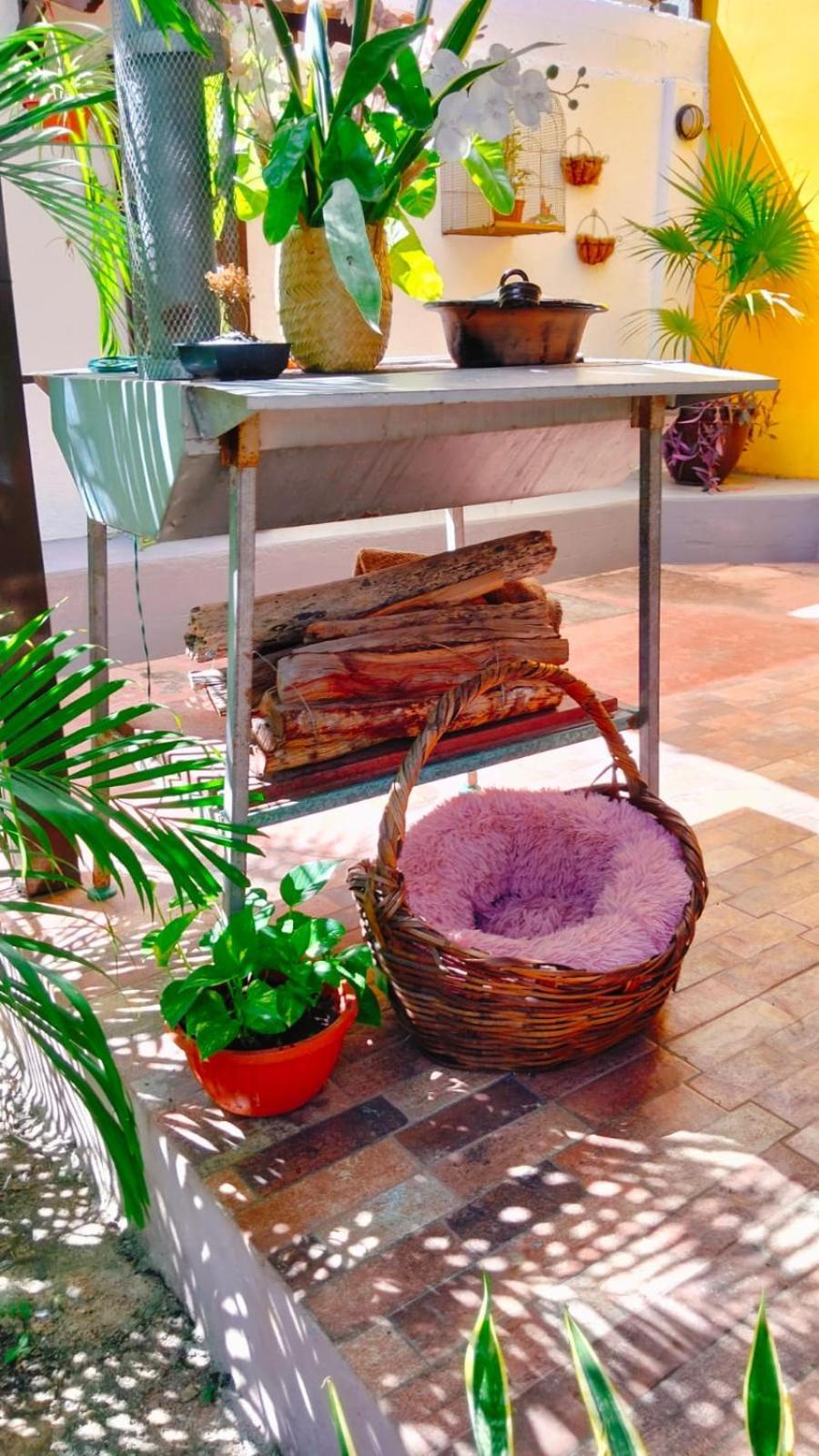 Bed and Breakfast Quinta Rosita Ticul Esterno foto