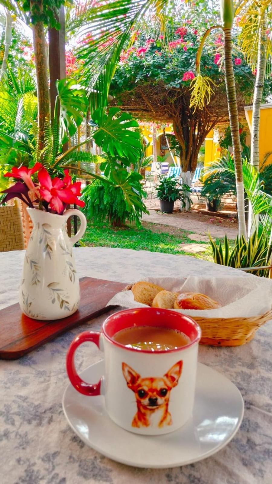 Bed and Breakfast Quinta Rosita Ticul Esterno foto
